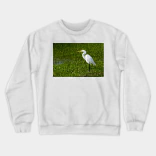 Great Egret As Still As A Statue Crewneck Sweatshirt